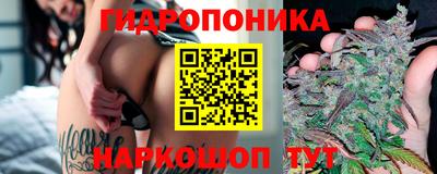 тгк Апшеронск