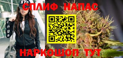 прущие крисы Аргун