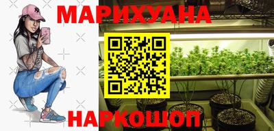 прущие крисы Аргун