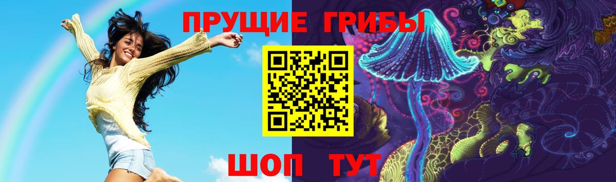 Псилоцибиновые грибы GOLDEN TEACHER  Вход с VPN  Владикавказ 