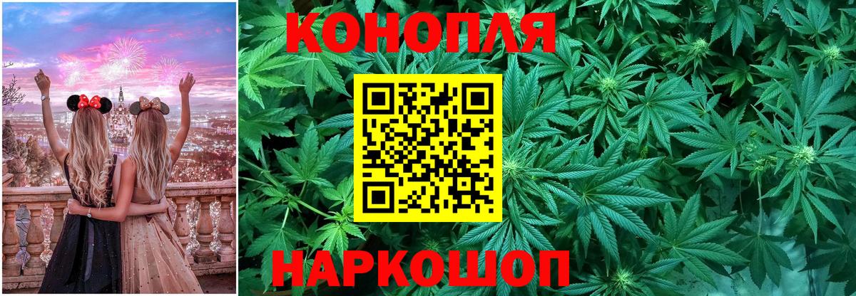 Конопля план  Шишки марихуана сатива  Вход с VPN  Владикавказ  Марихуана марихуана 